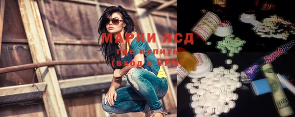 прущие грибы Алексеевка