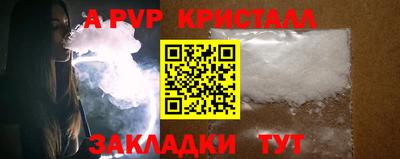 СК Новодвинск