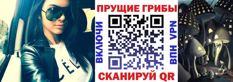 Галлюциногенные грибы Cubensis Протвино