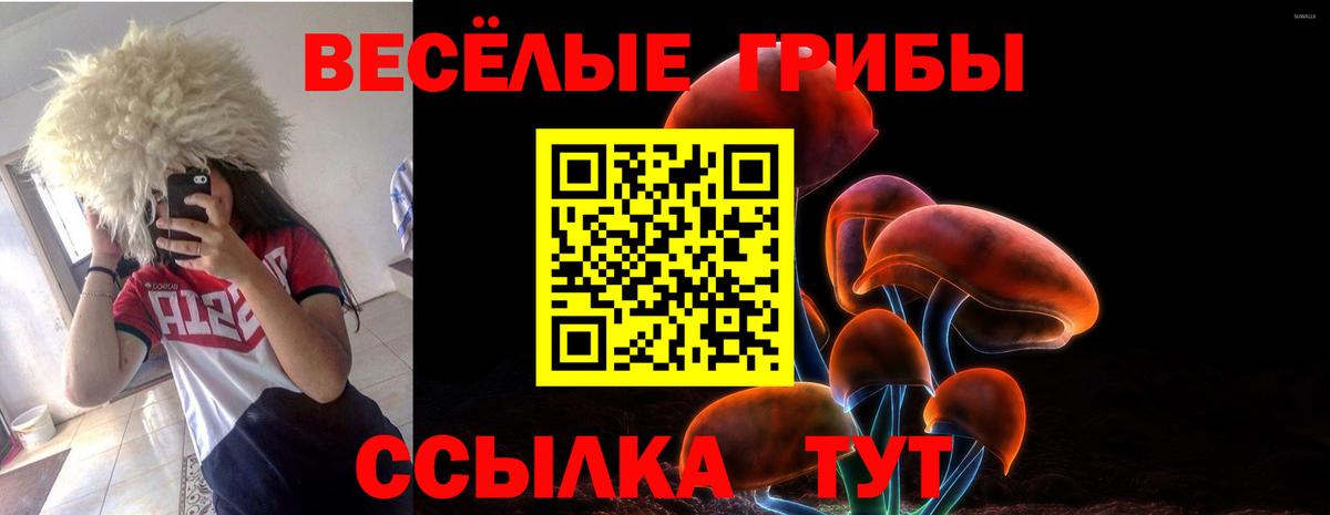Галлюциногенные грибы мицелий  наркота  Протвино  Вход с VPN 